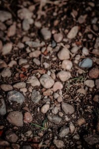 Terroir Pessac-Léognan