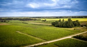 Château La Garde vignoble vu du ciel